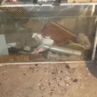 فروش یا معاوضه اکواریم بزرگ|ماهی|میانه, |دیوار