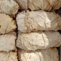 برگ برازجان