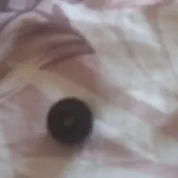 لیزر تمام|اسباب‌‌بازی|بیضا, |دیوار