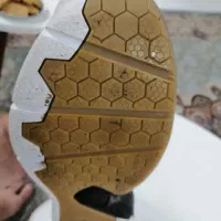 کفش بدمینتون و تنیس|کیف، کفش، کمربند|شاهینشهر, خبرنگار|دیوار