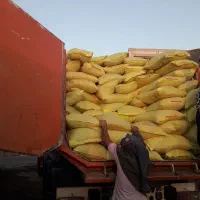 کنسانتره پلیت پرواری