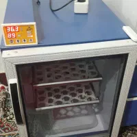 دستگاه جوجه کشی ۸۴ تایی بلدر چین دماوند|لوازم جانبی حیوانات|نکا, |دیوار