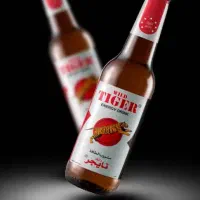 استخدام ویزیتور