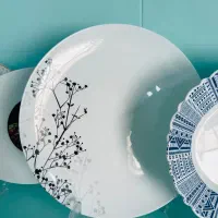 ارکوپال به قیمت شرکت تعداد محدود