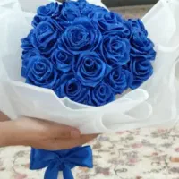 پردیس زندگی