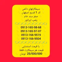 913 ثابت صفر پلمپ