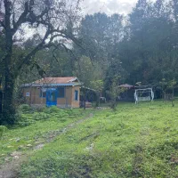 اجاره کلبه ویلا جنگلی ماسال