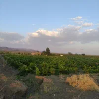 اب عمیق روستای چشمه سیر
