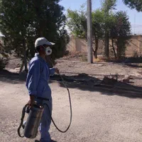 شرکت سمپاشی  البرز تضمینی  با 32 سال سابقه سم پاشی|خدمات نظافت|زاهدان, |دیوار