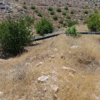 چرام باغ شمسوا ،شمس آباد فقط 500 تخفیف خوبی داره|فروش زمین و ملک کلنگی|چرام, |دیوار