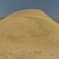 کاه نخود