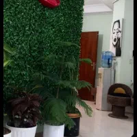 اجاره-اتاق-درداخل-مطب