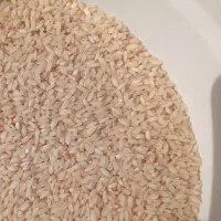 برنج عنبربو به شرط پخت
