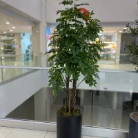 درخچه های مصنوعی وارداتی با گل های فومی و پارچه ای|گل مصنوعی|تهران, هرندی|دیوار