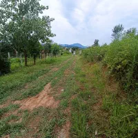 زمین ۲۴۰ متری مسکونی مرا دهنده لاهیجان