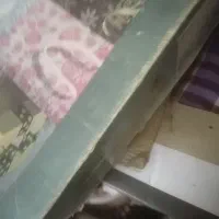 سرویس کاوه