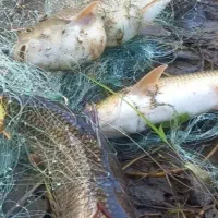 تور موشکی لنسر