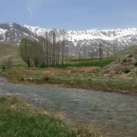 زمین ۷۵۰ متری مناسب باغ و ویلا «فریدونشهر»|فروش زمین و ملک کلنگی|فریدونشهر, |دیوار