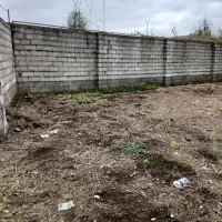 زمین-مسکونی-287-متر-سند-تکبرگی-طالب-آباد