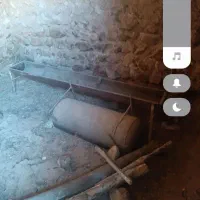 مخصوص حیوانات اهلی میش و بز