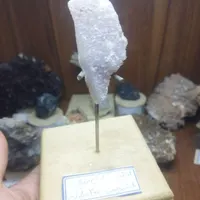 امتیست برزیلی خام بااستند
