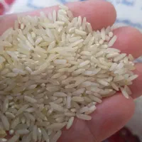 برنج طارم عطری