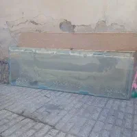 آکواریوم بزرگ|ماهی|تربتحیدریه, باغ سلطانی|دیوار