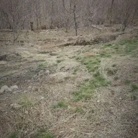 باغ به متراژ 210 متر