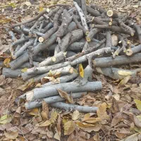 هیزم برای کوهنوردی و کمپینگ|کوهنوردی و کمپینگ|لواسان, |دیوار