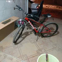 دوچرخه تمیز ویوا نو نو