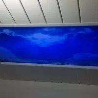 همخونه-خانوم