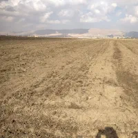 زمین فروشی ماهیدشت جامه شوران