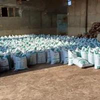 کود پلت مرغی و سایر کود های مورد نیاز پسته