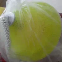 لوستر تک شاخه