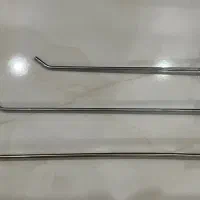شاخک رگال دیواری