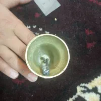 زنگوله|لوازم جانبی حیوانات|قم, میرزائیه|دیوار