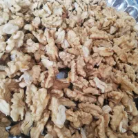 فروش مغزی گویز درجه یک