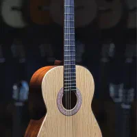 گیتار آگرین با دوسال گارانتی|گیتار، بیس، امپلیفایر|اصفهان, درب کوشک|دیوار