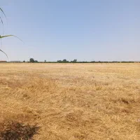 فروش-زمین-به-مساحت-60هزار-متر-بایکو-نیم-دانگ-چاه