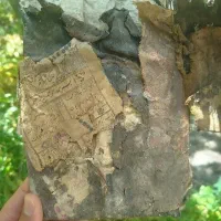 دعا سرکتاب قوی