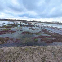 زمین یک هکتارشالیزارسنتی براصلی خیابان متری۳۵۰هزار