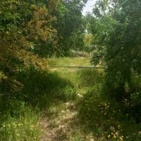 استخدام باغبان