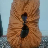 کوله پشتی زاگرس ۶۰‌لیتری خیلی تو|کوهنوردی و کمپینگ|فولادشهر, B4|دیوار