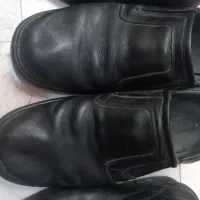 کفش تمیز سایز ۴۴