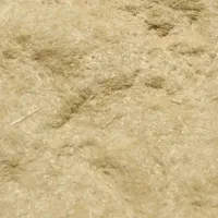 کاه گندم