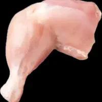 ران.شینسل.فیله مرغ گرم شمال بالاترین کیفیت|خوردنی و آشامیدنی|اصفهان, باغ زرشک|دیوار