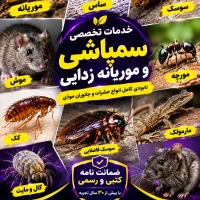 شرکت سمپاشی(موریانه زدایی)سم پاشی ساس سوسک/کل شهر