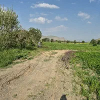راننده لودر