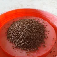 بیومار|ماهی|ورامین, ورامین|دیوار