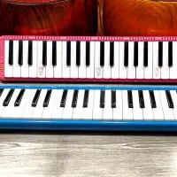 ملودیکا ۳۷ کلید Bee . پیانو . گیتار|سازهای بادی|تهران, شمسآباد|دیوار